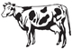 site logo